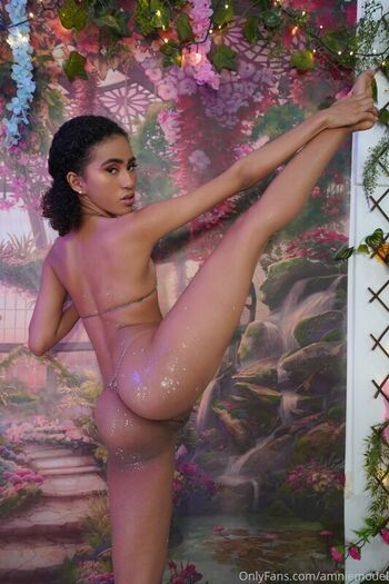 amniemodel