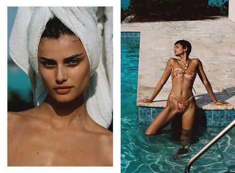 Taylor Hill